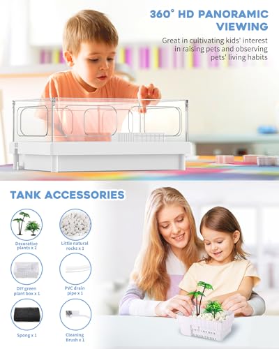 Small Turtle Tank Kit (White)