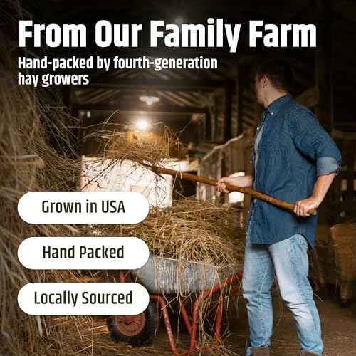 Alfalfa Hay for Young Rabbits and Guinea Pigs (10 Pound (Pack of 1))