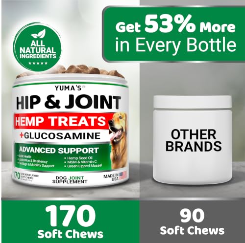 Hemp Hip and Joint Supplement for Dogs (Hemp Hip & Joint Chews / 170 Treats)