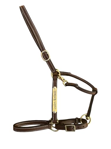 Leaders 3 4" Leather Halter for Horses with Customized Engraved Name Plate Brown Leather with Solid Brass Hardware (Pony)