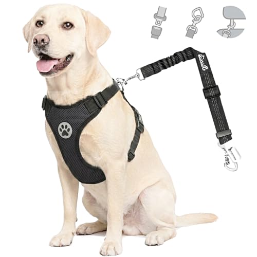 Dog Car Harness Seat Belt (Medium / Black)