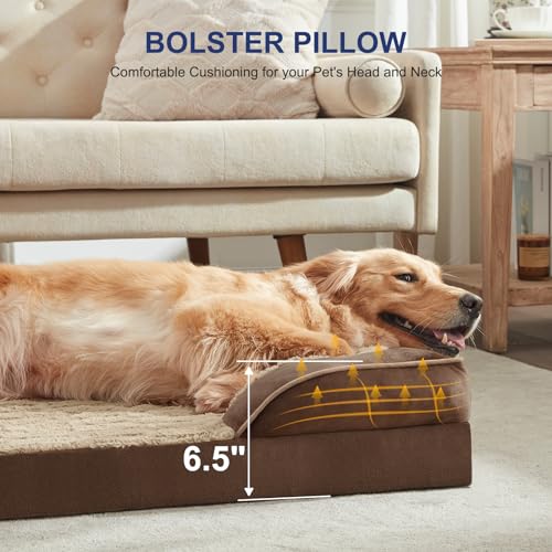 Orthopedic Medium Dog Bed (35.0''l x 25.0''w x 6.5''th / Brown)