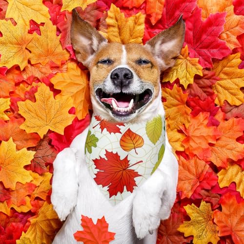 50 Pcs Fall Dog Bandanas Bulk (Maple Leaves / 25.6 x 17.7 x 17.7")