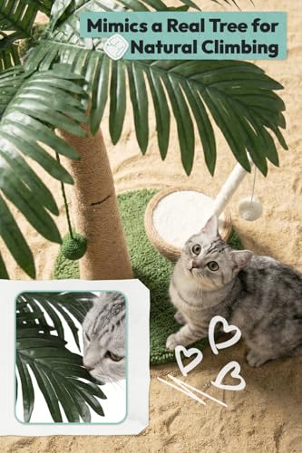 33" Tall Cat Scratching Post (Coconut Fruit & Straw - M)