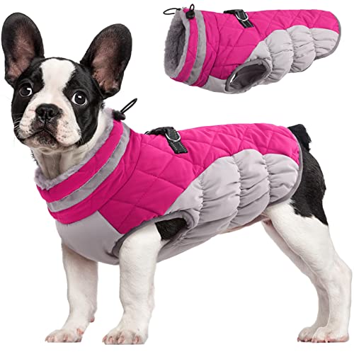 Dog Coat for Small Dogs (Rose Red / XS(chest:14in))