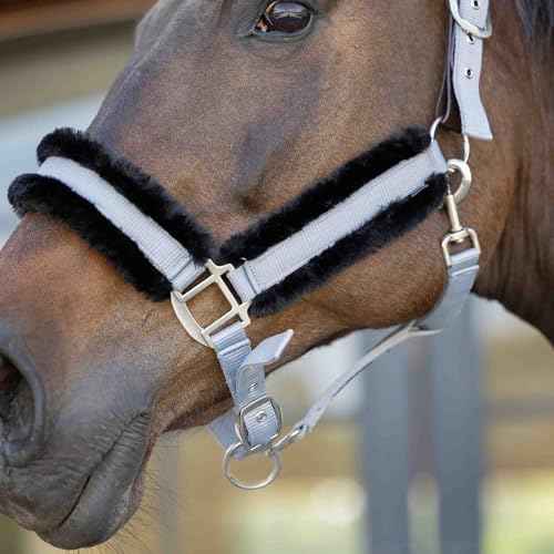Valkyrie Ultra Fleece Padded Leather Fuse Breakaway Horse Halter (Slate Grey/Black / Cob)