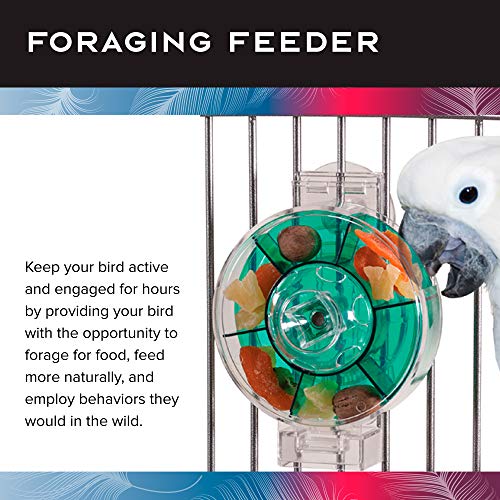 Creative Foraging Systems Bird Cage Feeder (X-Large)