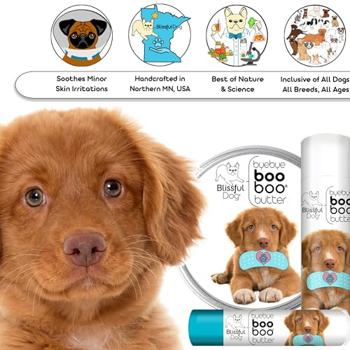 Nova Scotia Duck Tolling Retriever Boo Boo Butter (1 Count (Pack of 1) / Nova Scotia Duck Tolling Retriever)
