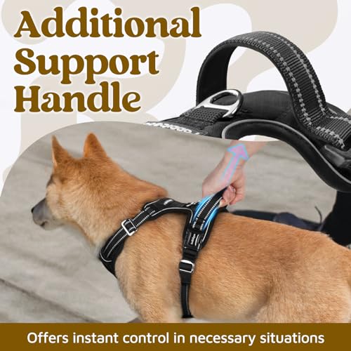 Dog Harness Small Sized (Black / Small)