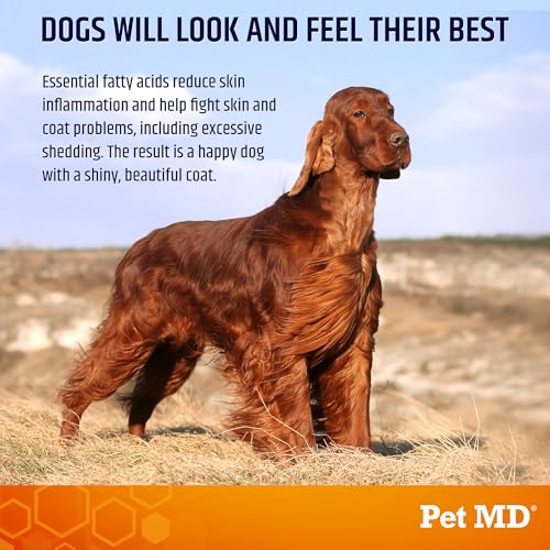 Salmon Omega Bites for Dogs (60ct)