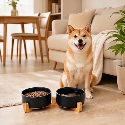 Ceramic Dog Cat Bowls Set with Stand (Black / 400ML*2)