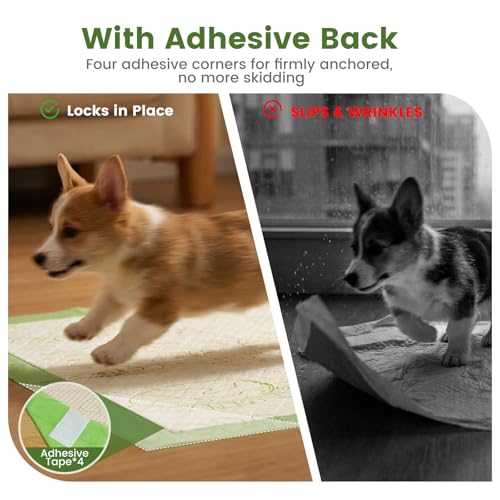Pee Pads for Dogs 19"X30" with Adhesive 10 Count (19"x30"(10Ct))