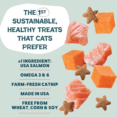 Crunchy Cat Treats (2.5 Ounce (Pack of 1))