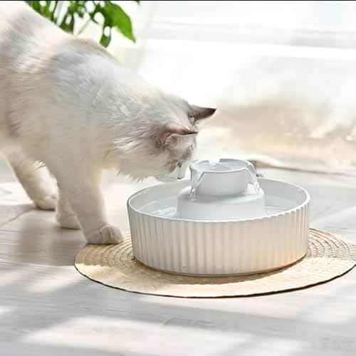 Pet Drinking Fountain