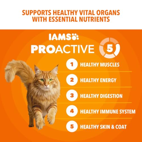 Proactive Health Healthy Adult Dry Cat Food (22 Pound (Pack of 1))