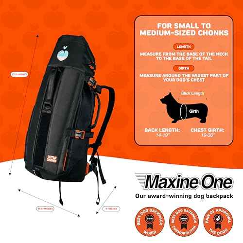 Maxine One Dog Backpack Carrier for Medium Dogs (Gray)