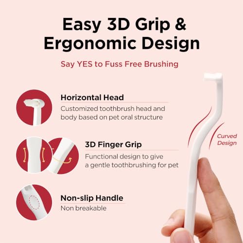 Dental Care Brush (Firm Bristles / 1 Count (Pack of 3))