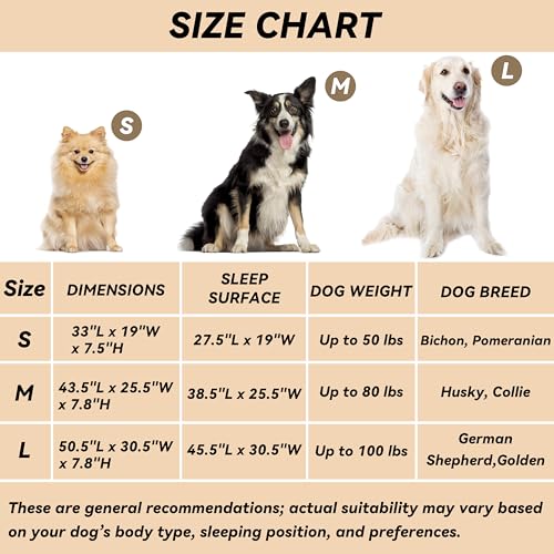 Elevated Dog Bed for Large Dogs (Large / Blue)