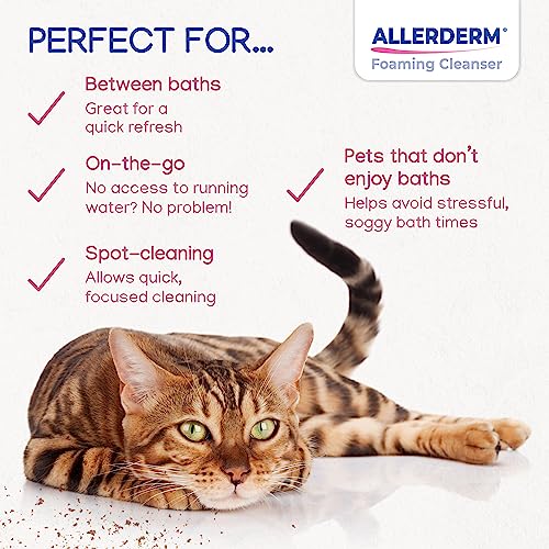 ALLERDERM Foaming Cleanser