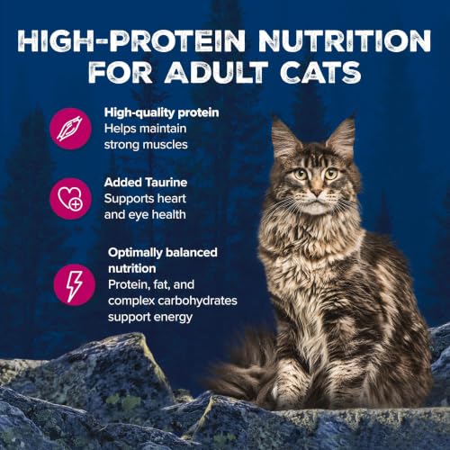 Wilderness High Protein (3 Ounce (Pack of 4))