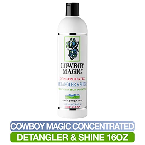 Detangler & Shine 16 Ounce (16 Fl Oz (Pack of 1))