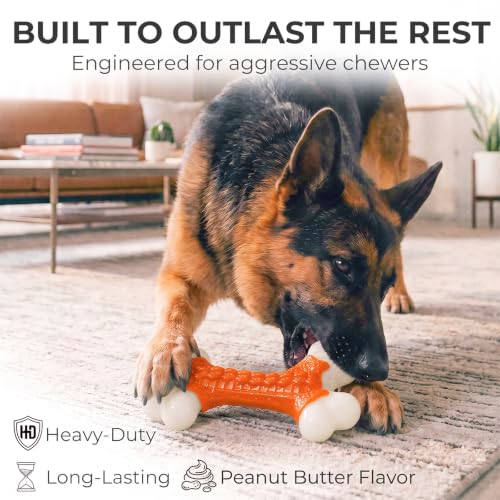 Indestructible Dog Toys for Aggressive Chewers (1PC-Peanut Butter-Orange)