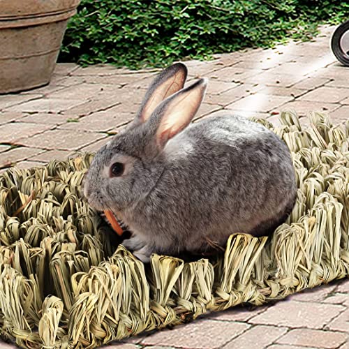 Rabbit Grass Bed Bunny Natural Woven Foraging Mat Guinea Pig Hay Mat Enrichment Toy Scratch Pad for Chinchilla Squirrel Hedgehog (1PCS)