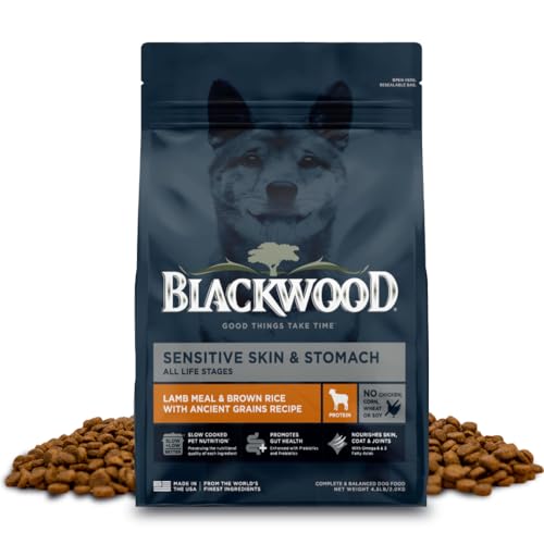 Sensitive Premium Dry Dog Food (Lamb Meal & Brown Rice with Ancient Grains / 4.5 Pound (Pack of 1))