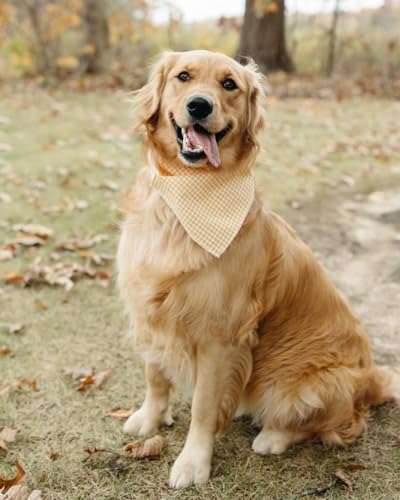 Dog Bandana for Small Medium Large Dogs (Yellow&White Grid / Large (Pack of 1))
