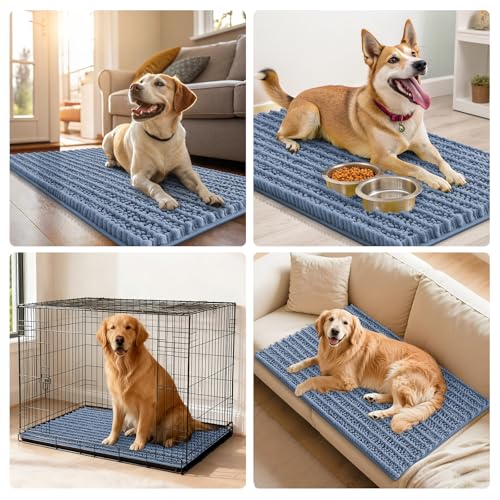Dog Door Mat for Muddy Paws 47x24 (Layered-Airy Blue / 47"X24")