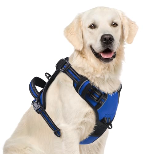 No Pull Dog Harness for Large (Blue / X-Large)
