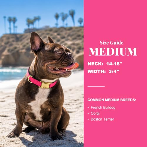 Soft Padded Dog Collar for Medium Dogs (Neon Pink / M：Fit 14-18" Neck, Width ¾")
