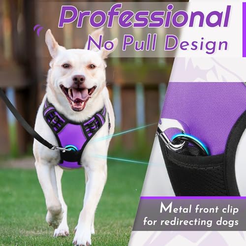 Dog Harness for Large Dogs (Large / Purple)