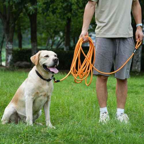 Long Dog Leash (Red / 10FT*0.4" Single Handle)
