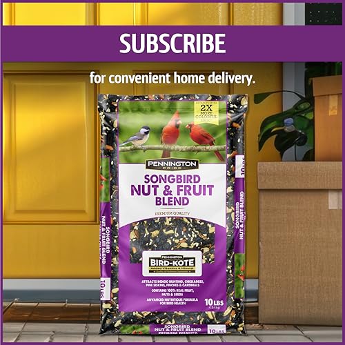Songbird Nut & Fruit Blend Wild Bird Seed for Outside Feeders (10 lb)