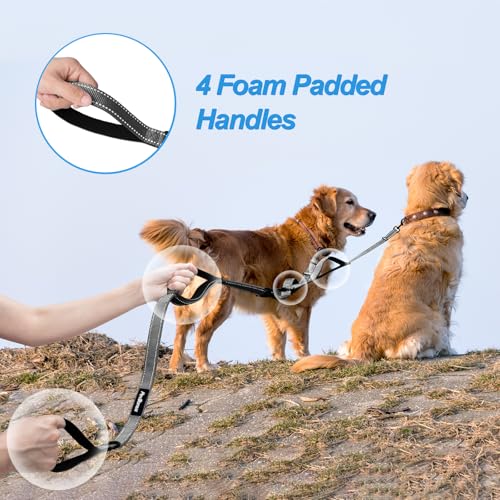 Double Dog Leash (Grey)