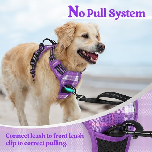 Dog Harness No Pull for Small Dogs with 2 Leash Clips (Small / Purple Plaid)