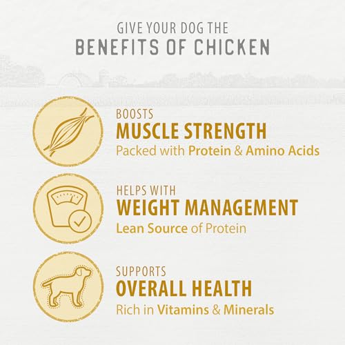 Chicken Morsels Dog Treats (4.4 Ounce (Pack of 1))