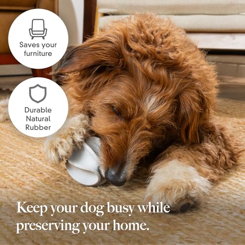 Treat Dispensing Dog Toy