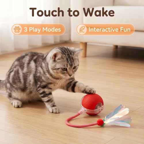 Automatic Cat Toy Ball for Indoor Cats (Red)