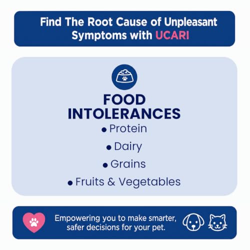 Pet Intolerances Insight Kit