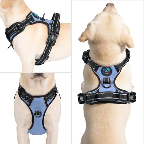 No Pull Dog Harness Reflective Adjustable with 2 Metal Leash Hooks (Medium / Baby Blue)