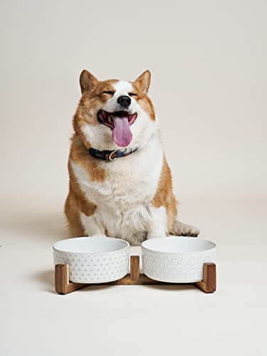 Ceramic Dog Bowls with Acacia Wood Stand (Fireworks+Clover / L-5 Cup)