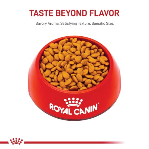Feline Breed Nutrition Persian Adult Dry Cat Food
