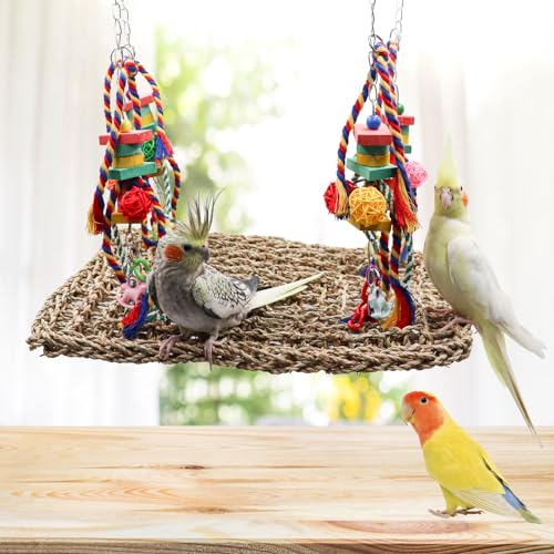 Large Bird Swing Toys