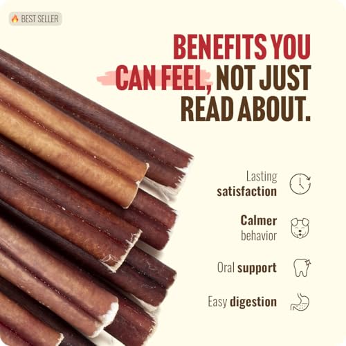 Odor Free Bully Sticks for Dogs (12" Standard - 5 Count)