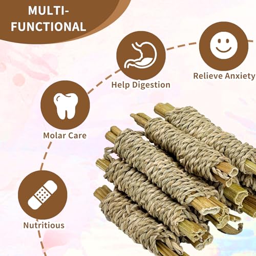 12 PCS Rabbit Chew Sticks