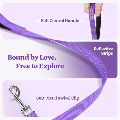 Dog Harness Medium Sized and Leash Set (Purple / Xxl (chest: 21.6 - 23.7"))