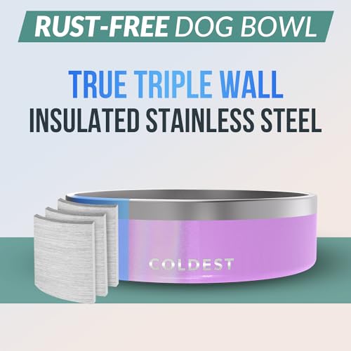 Coldest Dog Bowl (42 oz / Saturns Purple Glitter)