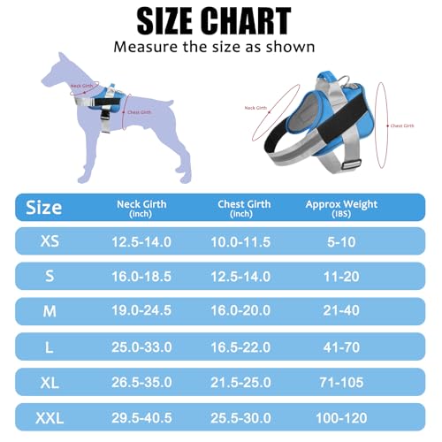 Dog Harness No (Small (Pack of 1) / BluePool)